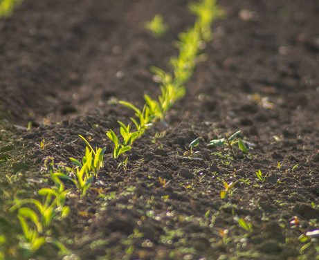 ECM Trading - Waterman Capital